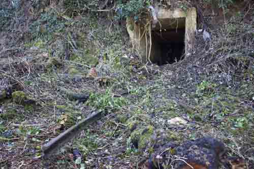 Wide view of tunnel entrance with rail in front