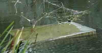 Large item floating in canal